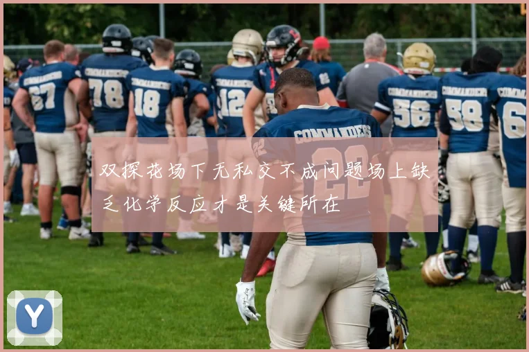 双探花场下无私交不成问题场上缺乏化学反应才是关键所在